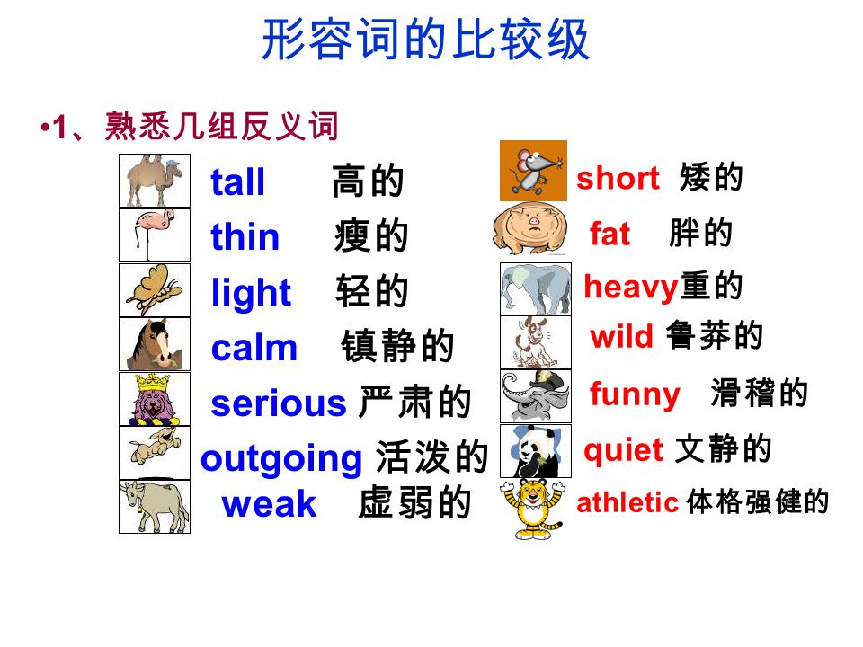 Unit 6 I M More Outgoing Than My Sister The First Period Liu Chunying Ppt Download