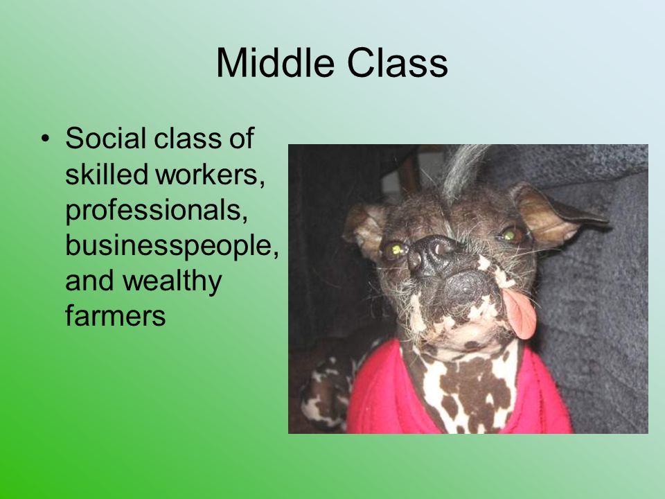 Middle Class Social class of skilled workers, professionals, businesspeople, and wealthy farmers