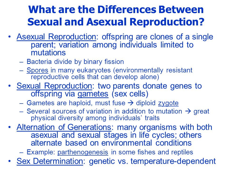 difference between sexual and sexual themes Female orgasm clinical video