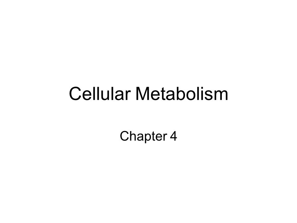 Cellular Metabolism Chapter 4. Protein Synthesis How DNA works. -  ppt download