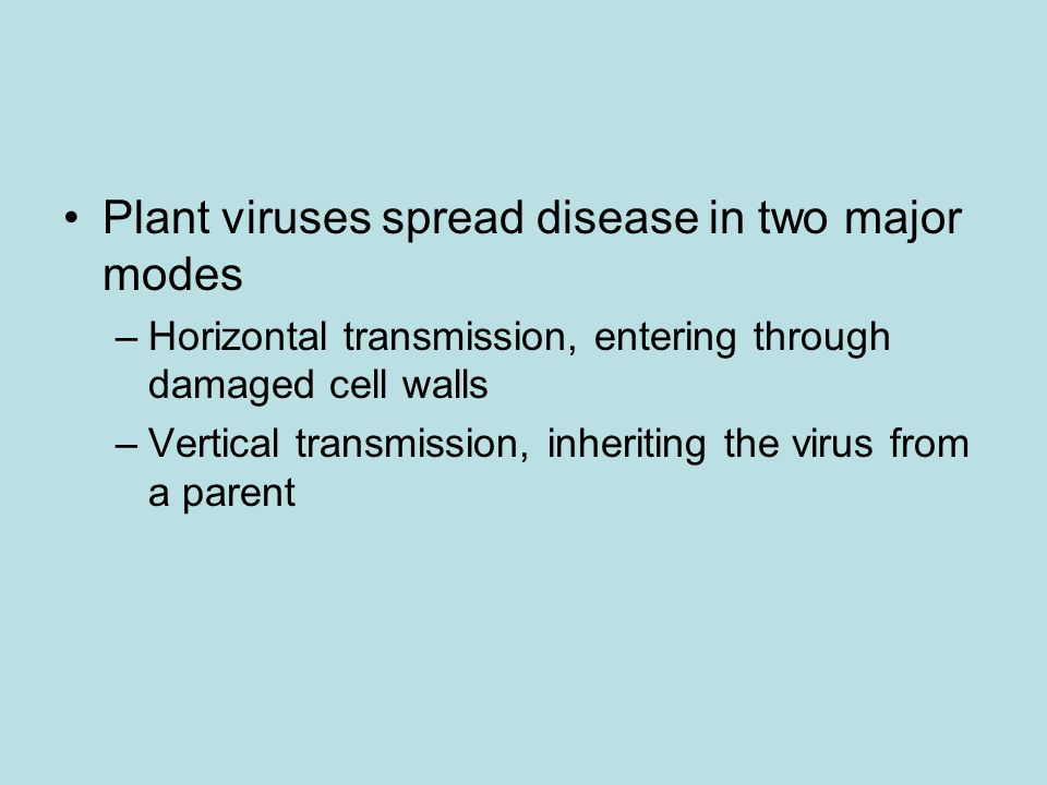 Viral Diseases in Plants More than 2,000 types of viral diseases of plants are known Common symptoms of viral infection include –Spots on leaves and fruits, stunted growth, and damaged flowers or roots Figure 18.12