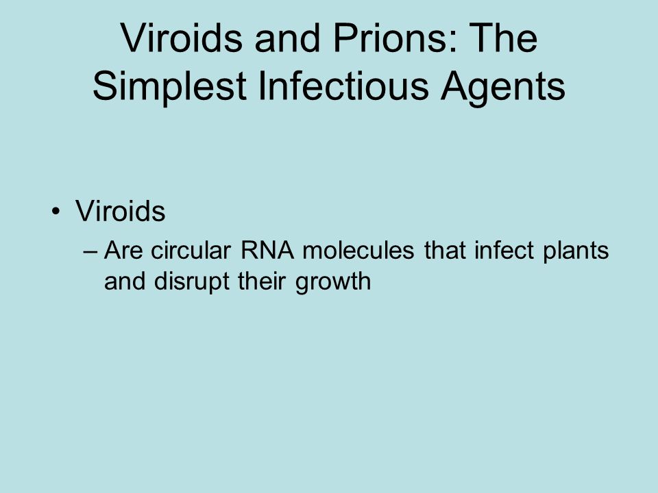 Plant viruses spread disease in two major modes –Horizontal transmission, entering through damaged cell walls –Vertical transmission, inheriting the virus from a parent
