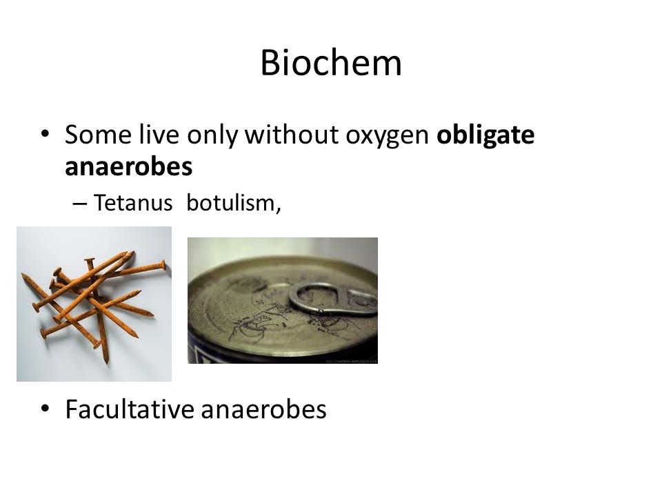 Biochem Some live only without oxygen obligate anaerobes – Tetanus botulism, Facultative anaerobes