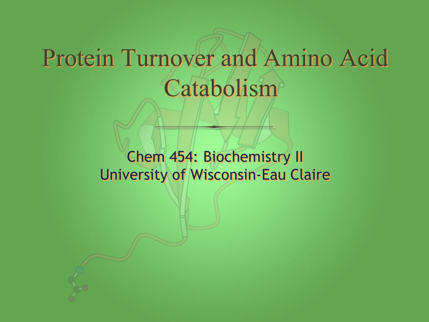 Chem 454: Biochemistry II University of Wisconsin-Eau Claire Chem 454: Biochemistry II University of Wisconsin-Eau Claire Protein Turnover and Amino Acid Catabolism