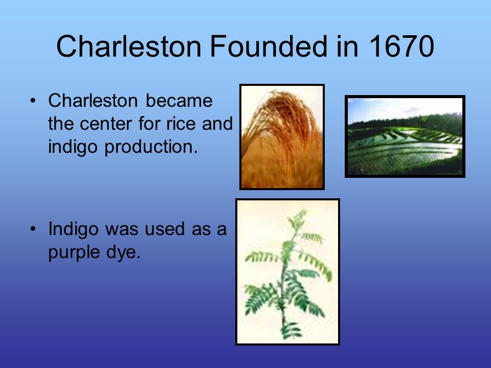 Charleston Founded in 1670 Charleston became the center for rice and indigo production.