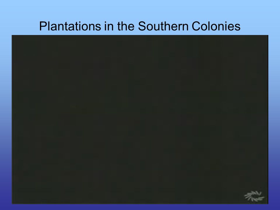 Plantations in the Southern Colonies