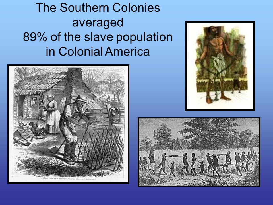 The Southern Colonies averaged 89% of the slave population in Colonial America