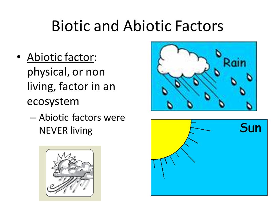Biotic and Abiotic Factors Abiotic factor: physical, or non living, factor ...