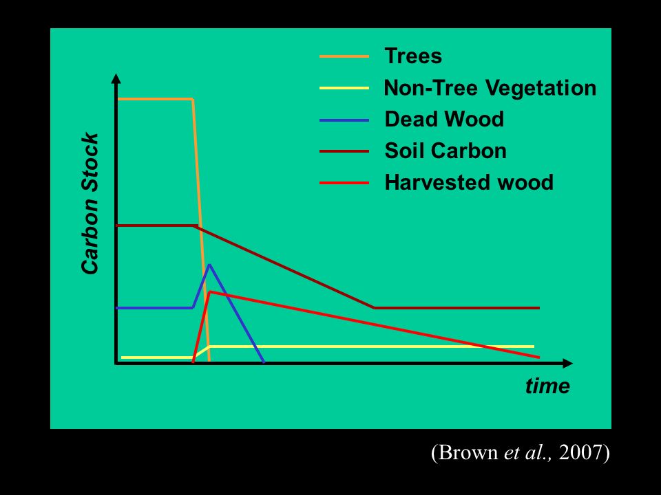 Carbon Stock time Trees Non-Tree Vegetation Dead Wood Soil Carbon Harvested wood