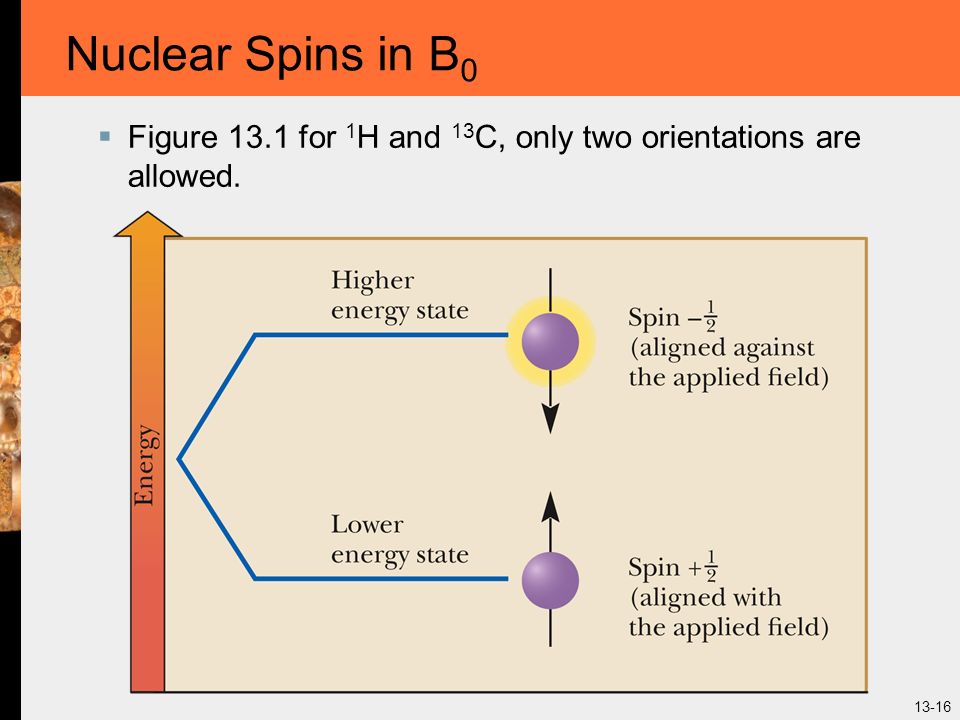 13-16 Nuclear Spins in B 0  Figure 13.1 for 1 H and 13 C, only two orientations are allowed.