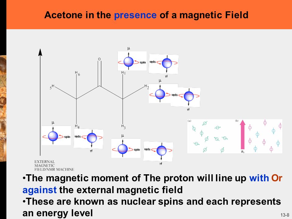 13-8 Acetone in the presence of a magnetic Field The magnetic moment of The proton will line up with Or against the external magnetic field These are known as nuclear spins and each represents an energy level
