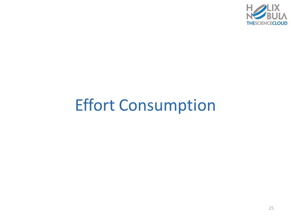 Effort Consumption 25