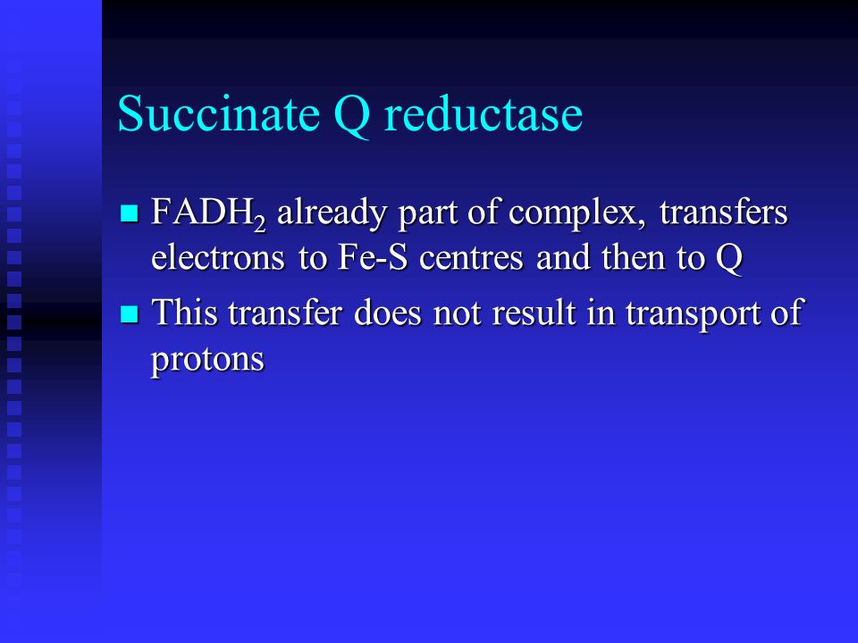 Succinate Q reductase FADH 2 already part of complex, transfers electrons to Fe-S centres and then to Q FADH 2 already part of complex, transfers electrons to Fe-S centres and then to Q This transfer does not result in transport of protons This transfer does not result in transport of protons