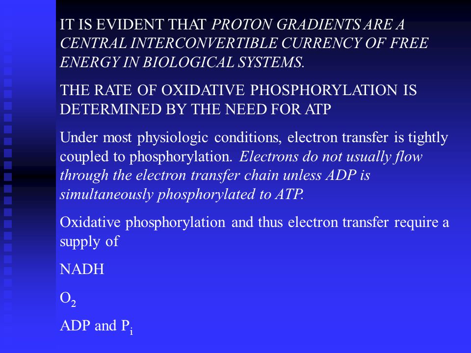IT IS EVIDENT THAT PROTON GRADIENTS ARE A CENTRAL INTERCONVERTIBLE CURRENCY OF FREE ENERGY IN BIOLOGICAL SYSTEMS.