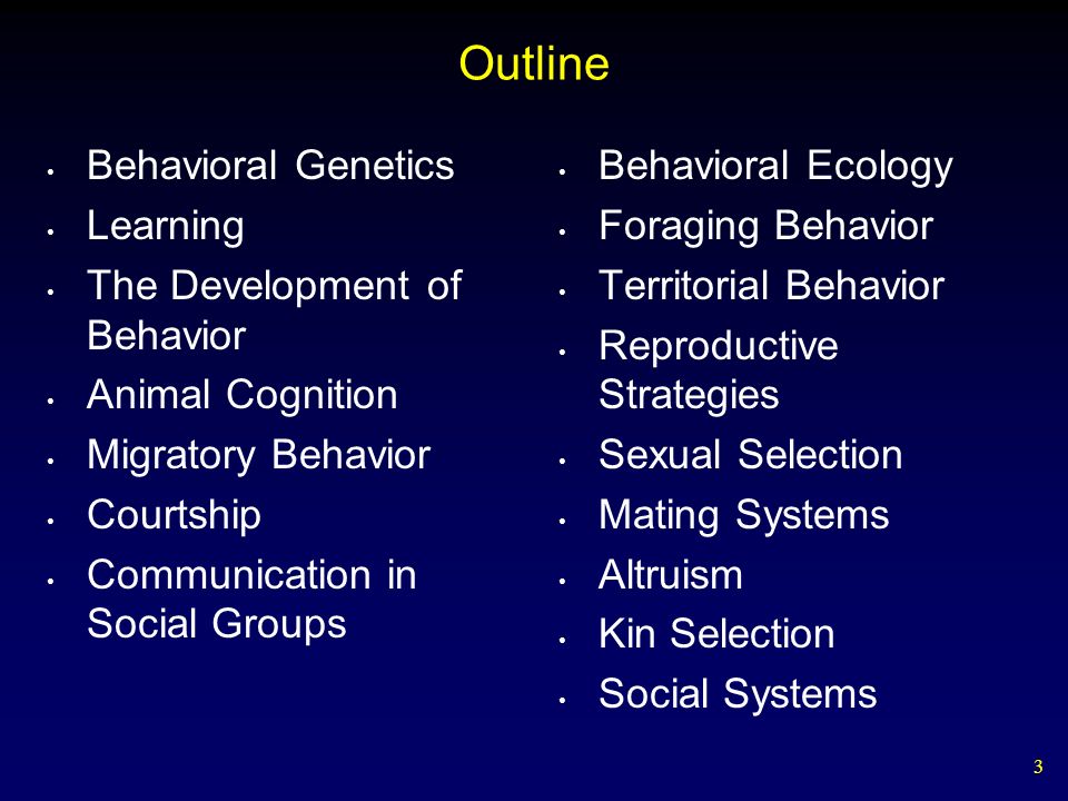 sexual behavior learned or genetic Gay guys at play