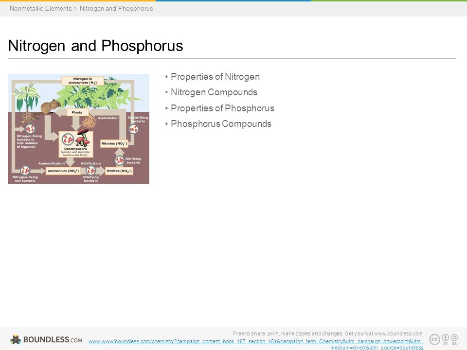 Boundless Lecture Slides Free to share, print, make copies and changes