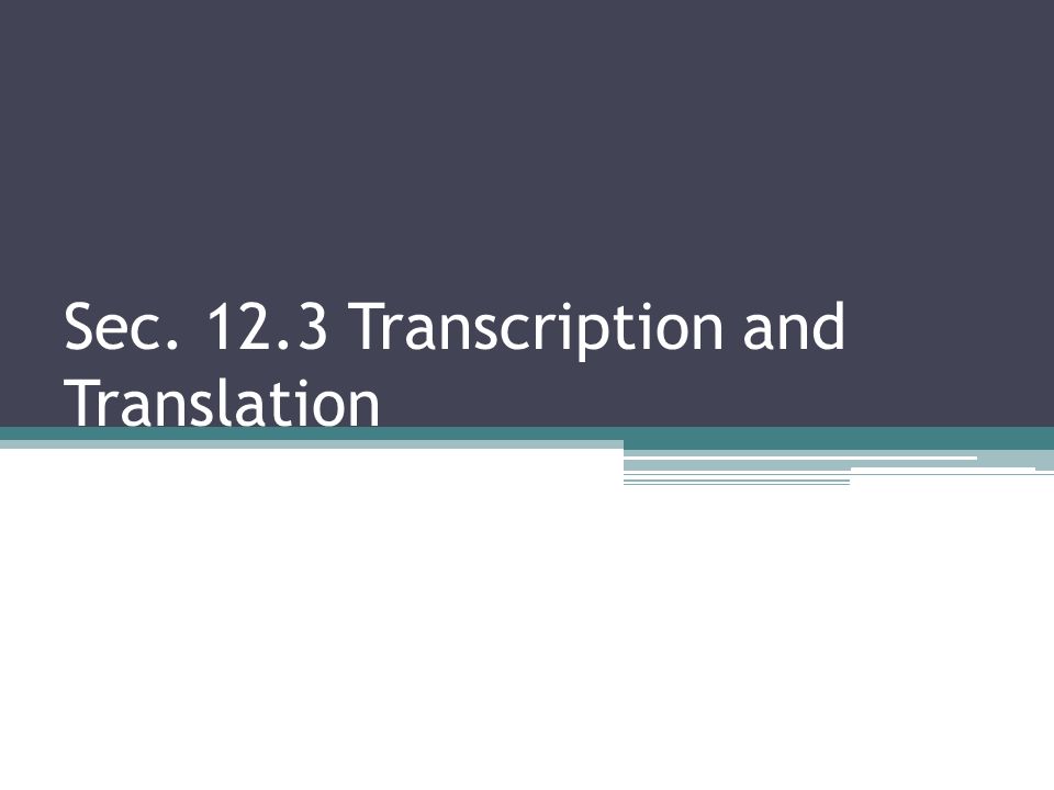 Sec Transcription and Translation