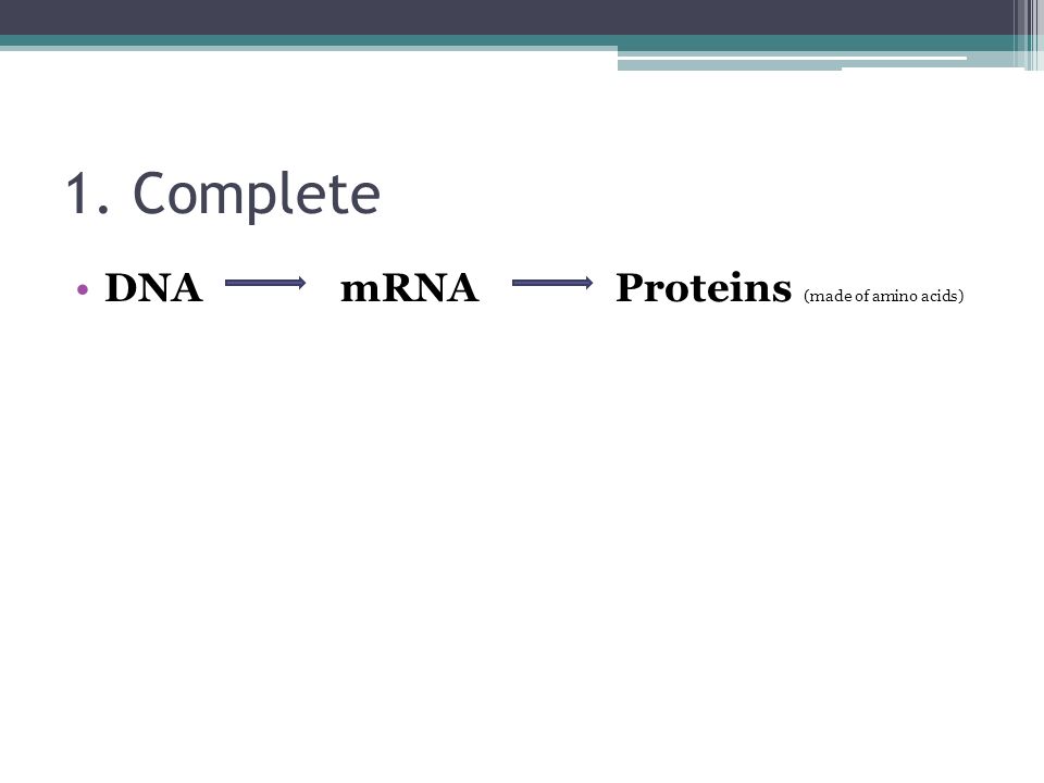 1. Complete DNA mRNA Proteins (made of amino acids)