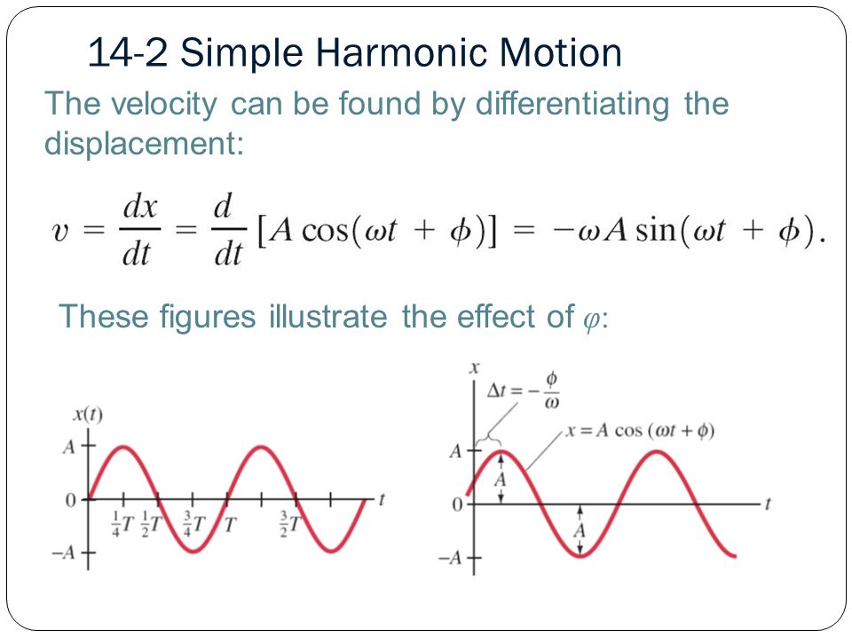The velocity can be found by differentiating the displacement: These figures illustrate the effect of φ: 14-2 Simple Harmonic Motion