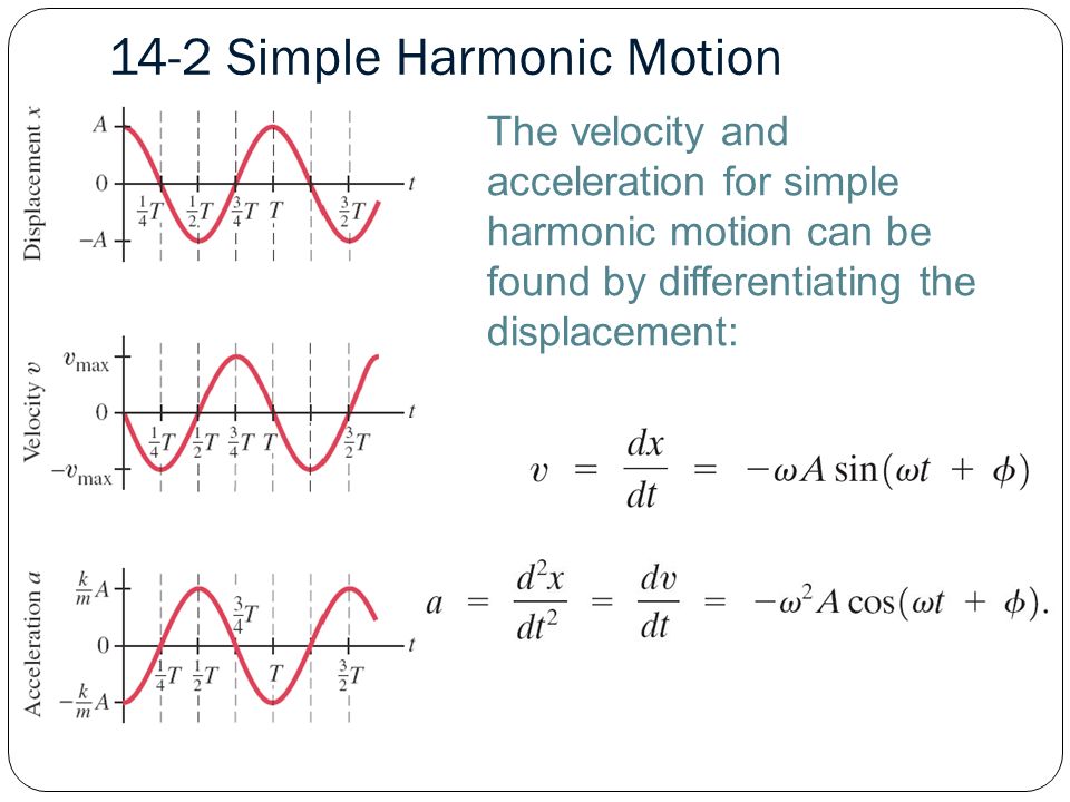 The velocity and acceleration for simple harmonic motion can be found by differentiating the displacement: 14-2 Simple Harmonic Motion