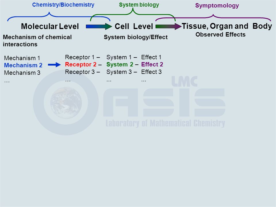 Mechanism of chemical interactions Cell Level System biology/Effect System biology Tissue, Organ and Body Observed Effects Symptomology Mechanism 1 Mechanism 2 Mechanism 3 … Receptor 1 – Receptor 2 – Receptor 3 – … System 1 – System 2 – System 3 –...