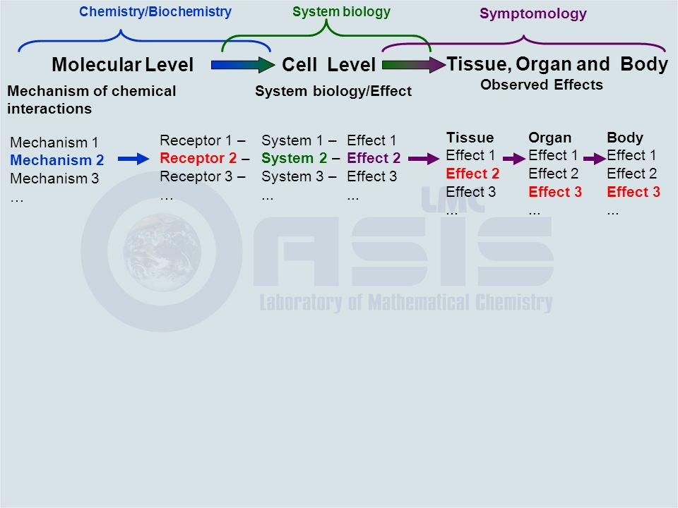 Mechanism of chemical interactions Mechanism 1 Mechanism 2 Mechanism 3 … Receptor 1 – Receptor 2 – Receptor 3 – … Cell Level System biology/Effect System 1 – System 2 – System 3 –...