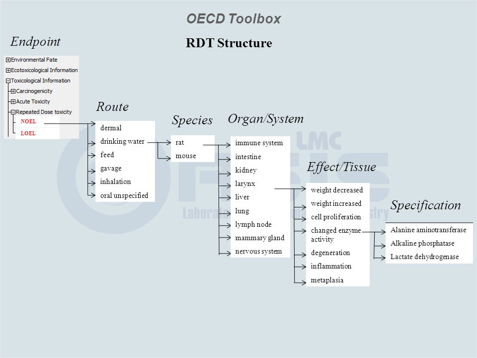 OECD Toolbox Species Organ/System Effect/Tissue rat mouse immune system intestine kidney larynx liver lung lymph node mammary gland nervous system dermal drinking water feed gavage inhalation oral unspecified Route weight decreased weight increased cell proliferation changed enzyme activity degeneration inflammation metaplasia Alanine aminotransferase Alkaline phosphatase Lactate dehydrogenase Specification NOEL LOEL RDT Structure Endpoint