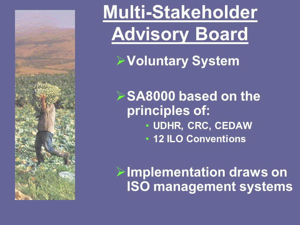 Multi-Stakeholder Advisory Board  Voluntary System  SA8000 based on the principles of: UDHR, CRC, CEDAW 12 ILO Conventions  Implementation draws on ISO management systems
