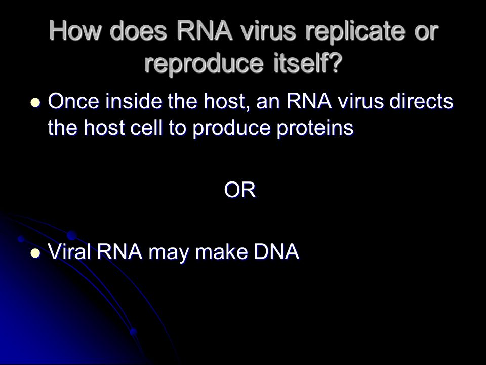 How does RNA virus replicate or reproduce itself.