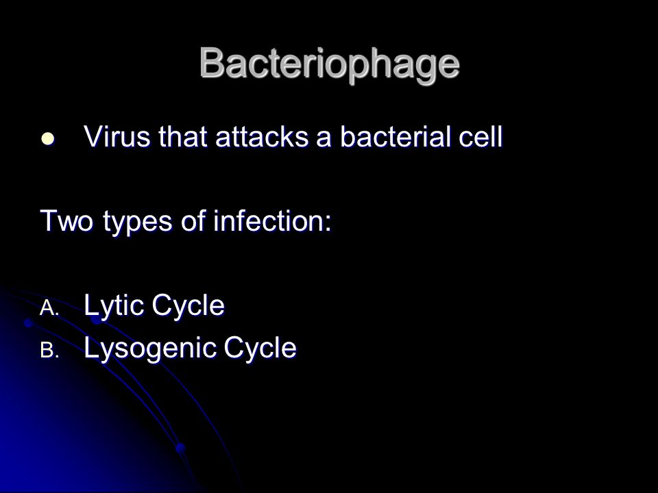 Bacteriophage Virus that attacks a bacterial cell Virus that attacks a bacterial cell Two types of infection: A.