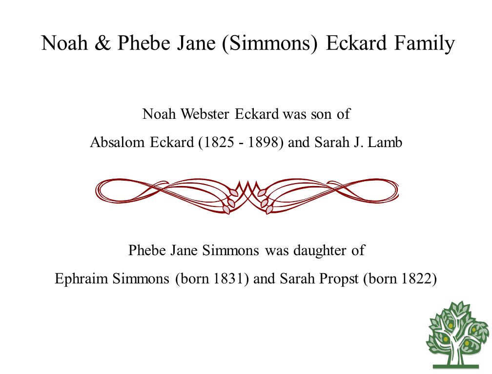 Noah & Phebe Jane (Simmons) Eckard Family Noah Webster Eckard was son of Absalom Eckard ( ) and Sarah J.
