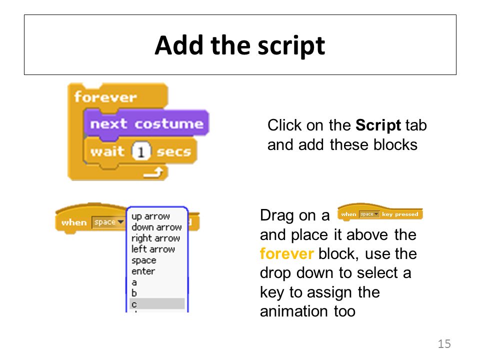 15 Add the script Click on the Script tab and add these blocks Drag on a and place it above the forever block, use the drop down to select a key to assign the animation too