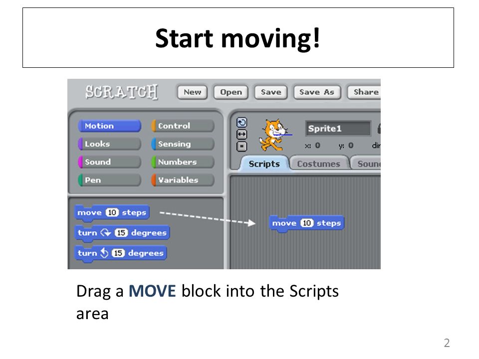 2 Start moving! Drag a MOVE block into the Scripts area