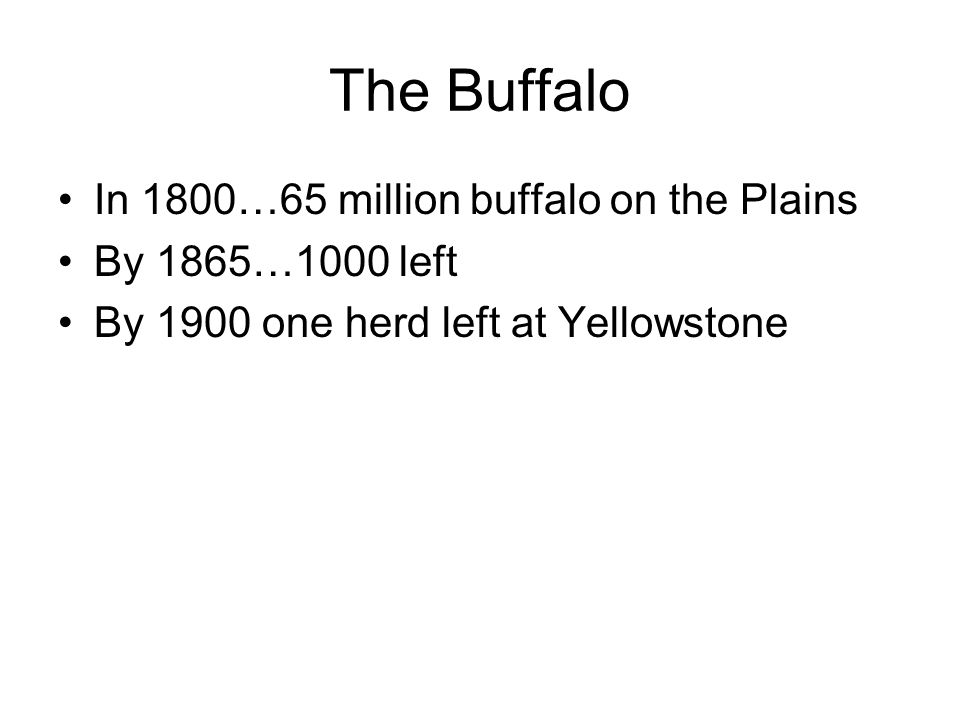 The Buffalo In 1800…65 million buffalo on the Plains By 1865…1000 left By 1900 one herd left at Yellowstone