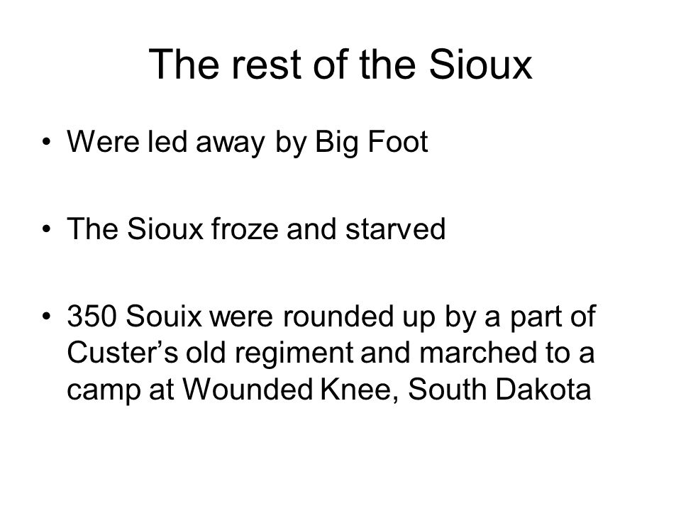 The rest of the Sioux Were led away by Big Foot The Sioux froze and starved 350 Souix were rounded up by a part of Custer’s old regiment and marched to a camp at Wounded Knee, South Dakota