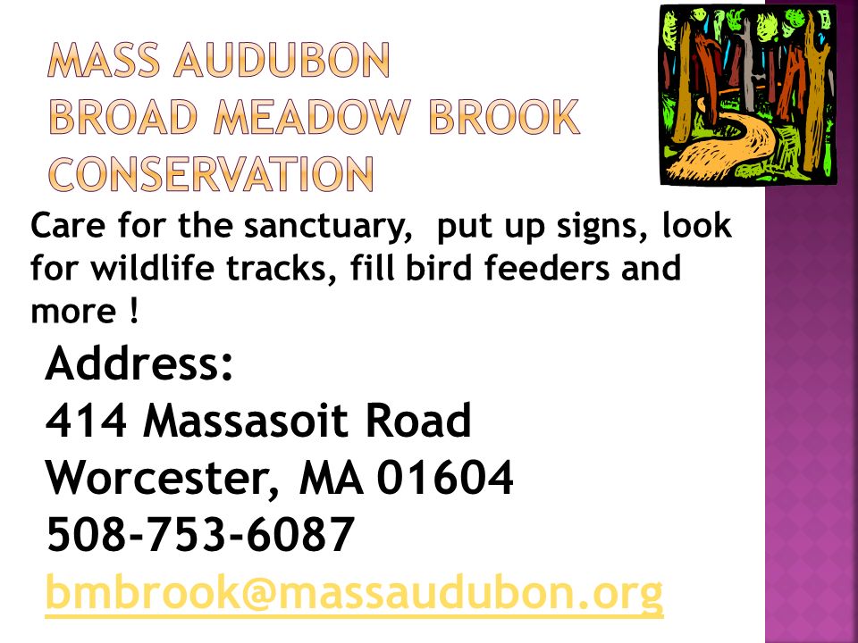 Care for the sanctuary, put up signs, look for wildlife tracks, fill bird feeders and more .