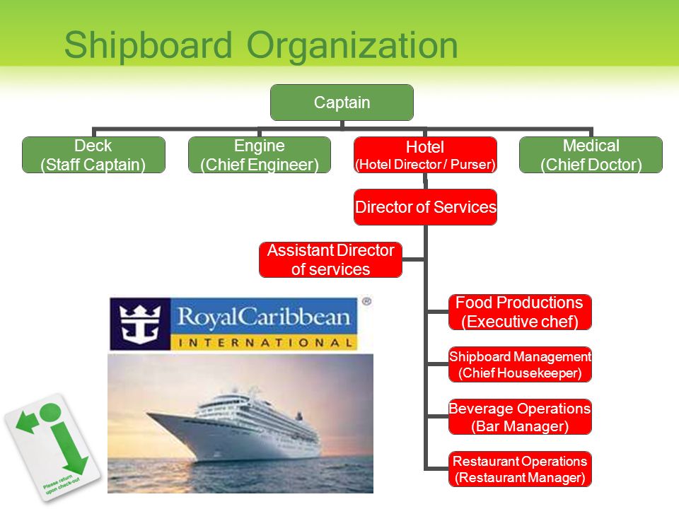 Organizational Chart Cruise Ship