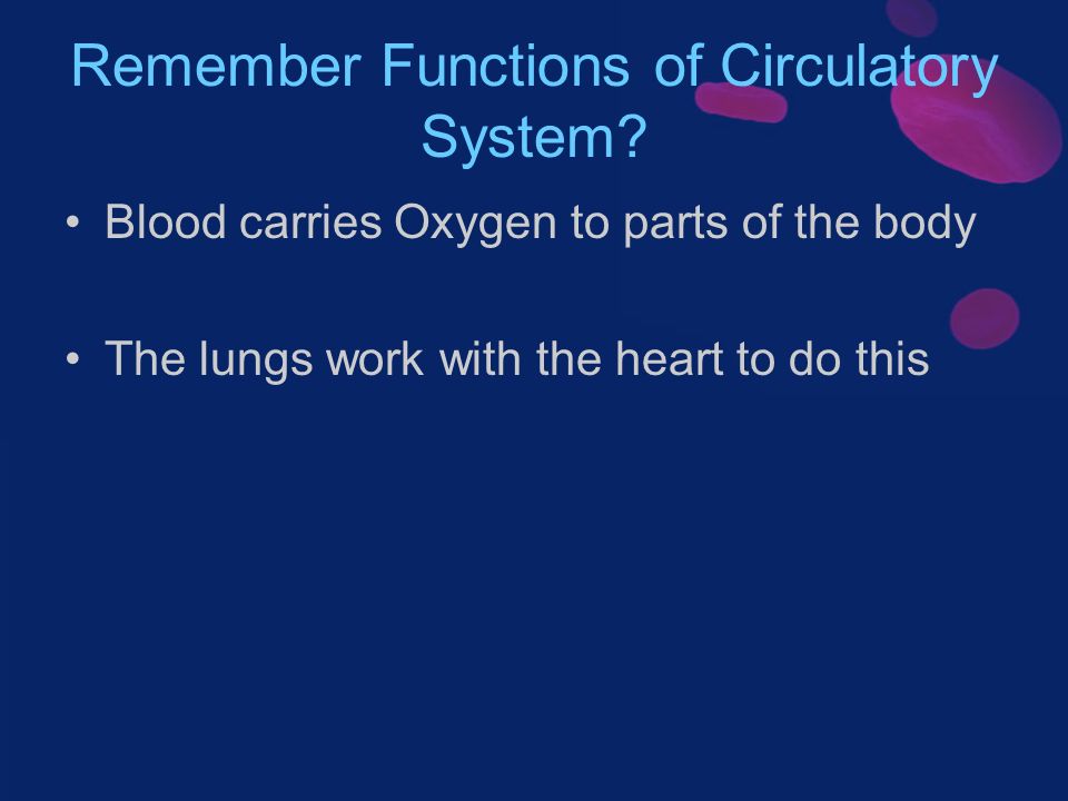 Remember Functions of Circulatory System.