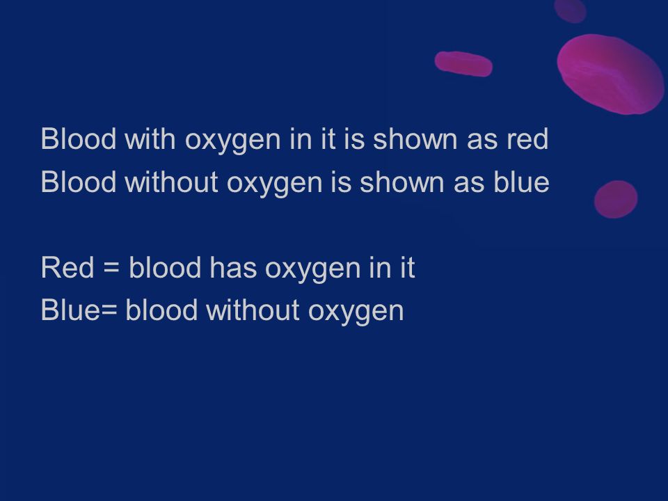 Blood with oxygen in it is shown as red Blood without oxygen is shown as blue Red = blood has oxygen in it Blue= blood without oxygen