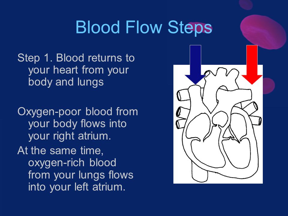 Blood Flow Steps Step 1.