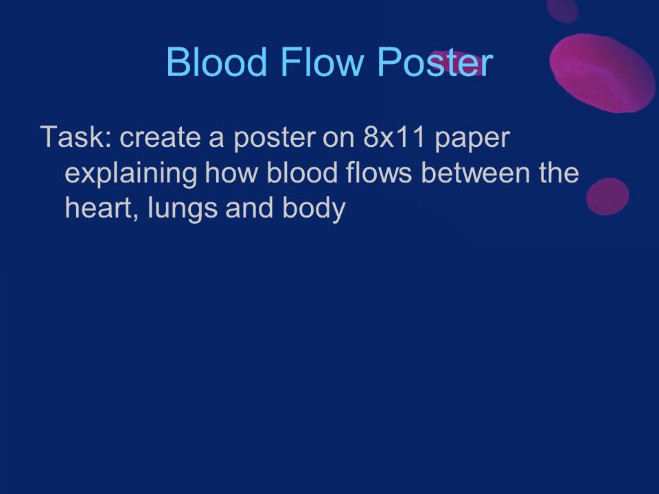 Blood Flow Poster Task: create a poster on 8x11 paper explaining how blood flows between the heart, lungs and body