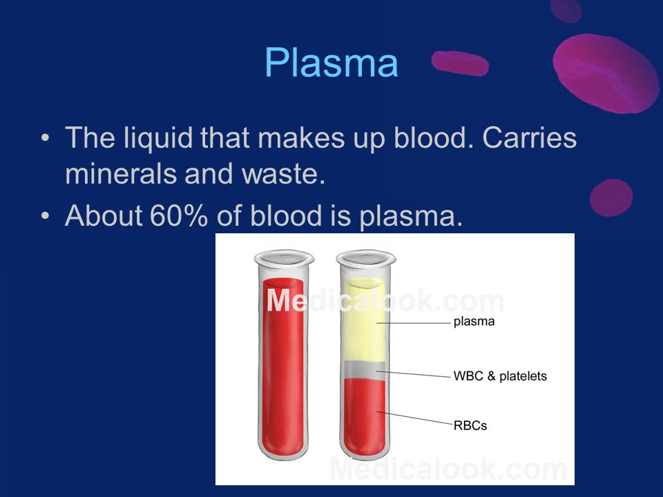 Plasma The liquid that makes up blood. Carries minerals and waste. About 60% of blood is plasma.