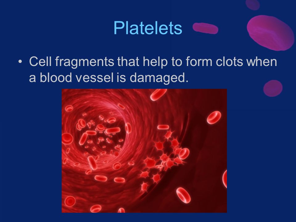 Platelets Cell fragments that help to form clots when a blood vessel is damaged.