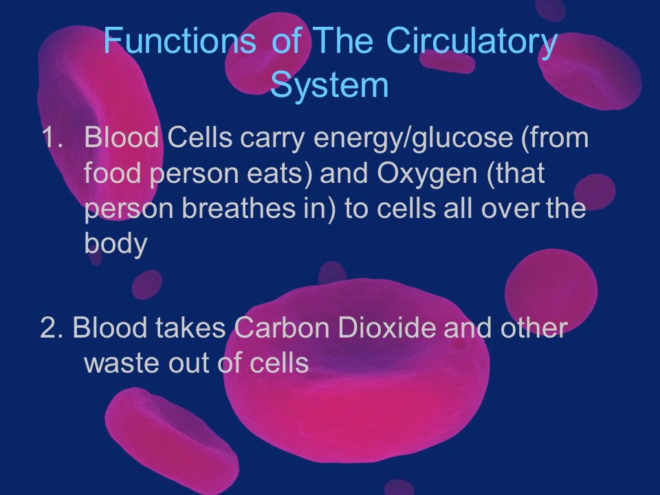 Functions of The Circulatory System 1.Blood Cells carry energy/glucose (from food person eats) and Oxygen (that person breathes in) to cells all over the body 2.