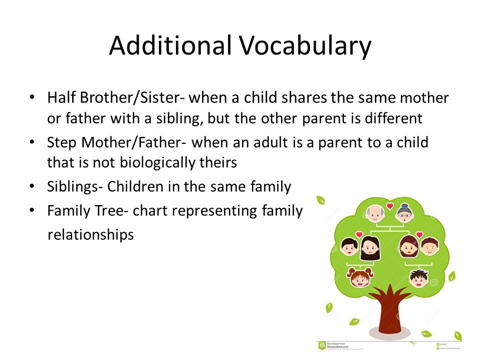 Additional Vocabulary Half Brother/Sister- when a child shares the same mother or father with a sibling, but the other parent is different Step Mother/Father- when an adult is a parent to a child that is not biologically theirs Siblings- Children in the same family Family Tree- chart representing family relationships