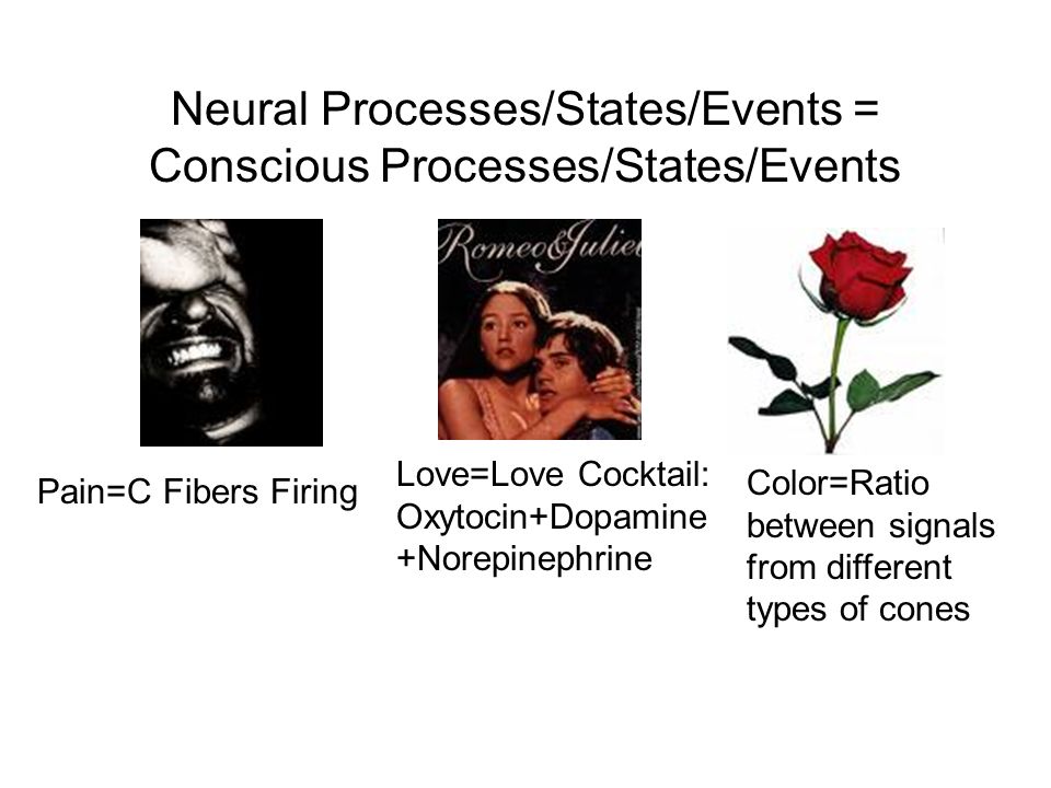 Neural Processes/States/Events = Conscious Processes/States/Events Pain=C Fibers Firing Love=Love Cocktail: Oxytocin+Dopamine +Norepinephrine Color=Ratio between signals from different types of cones