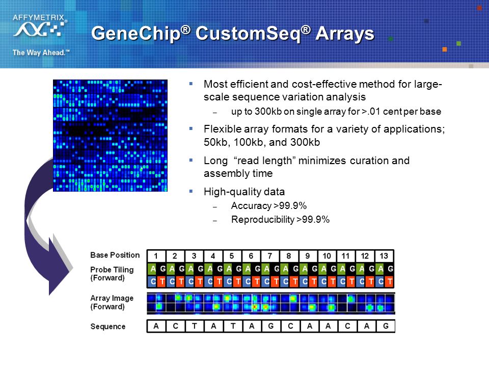 Genechip Customseq Resequencing Arrays Genechip Customseq Arrays Most Efficient And Cost Effective Method For Large Scale Sequence Variation Ppt Download Genechip Customseq Resequencing Arrays Genechip Customseq Arrays Most Efficient And Cost Effective Method For Large Scale Sequence Variation Ppt Download