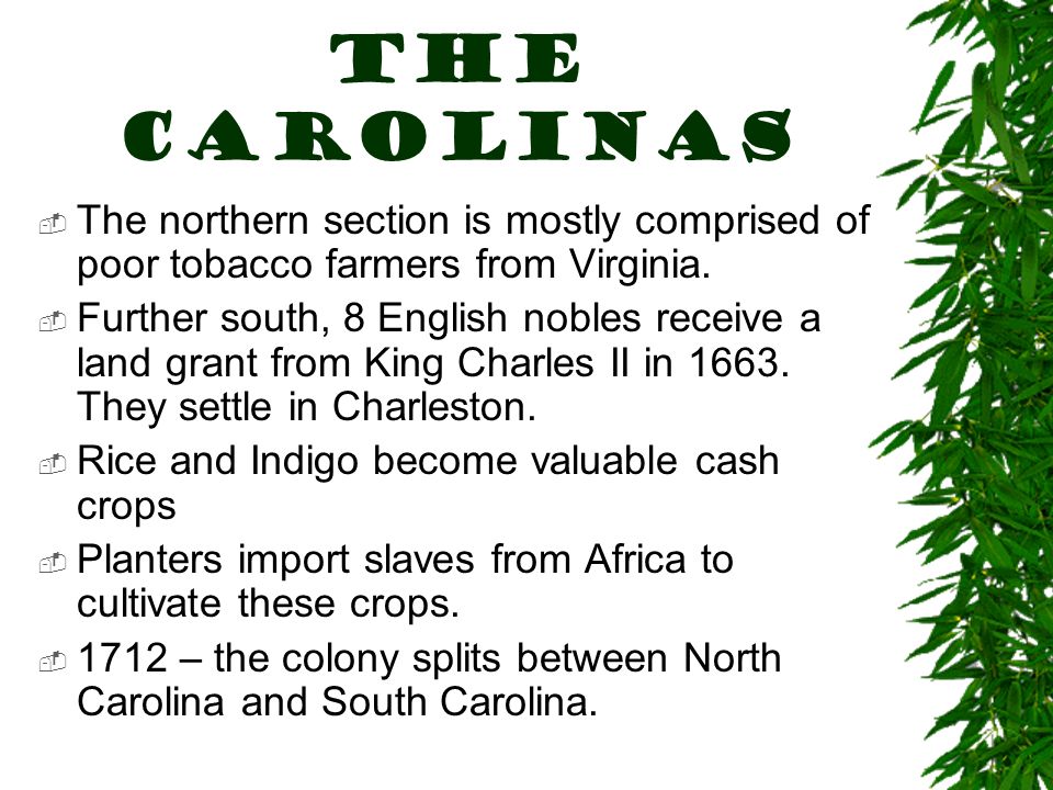 THE CAROLINAS  The northern section is mostly comprised of poor tobacco farmers from Virginia.