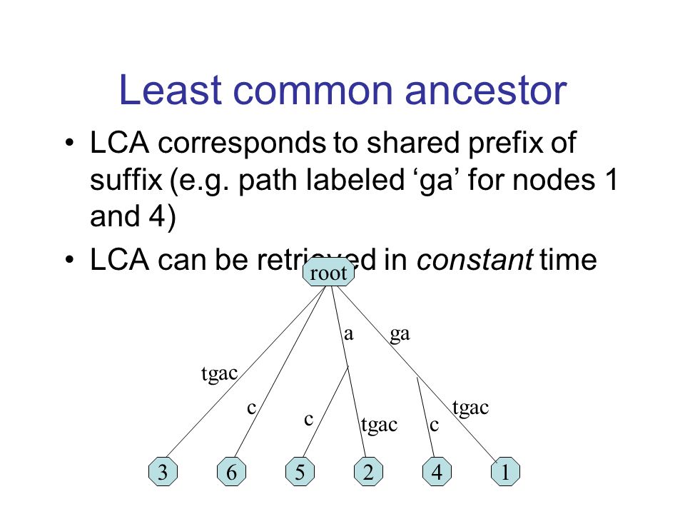 Least common ancestor LCA corresponds to shared prefix of suffix (e.g.