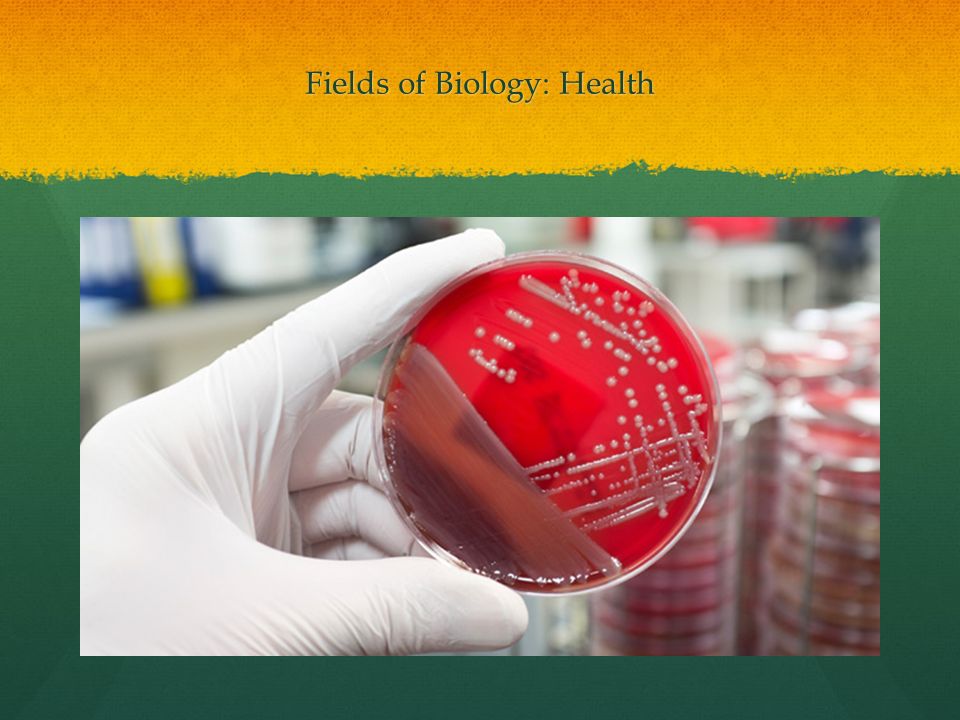 Fields of Biology: Health